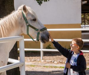 visitas escolares madrid