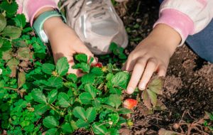 visitas escolares madrid