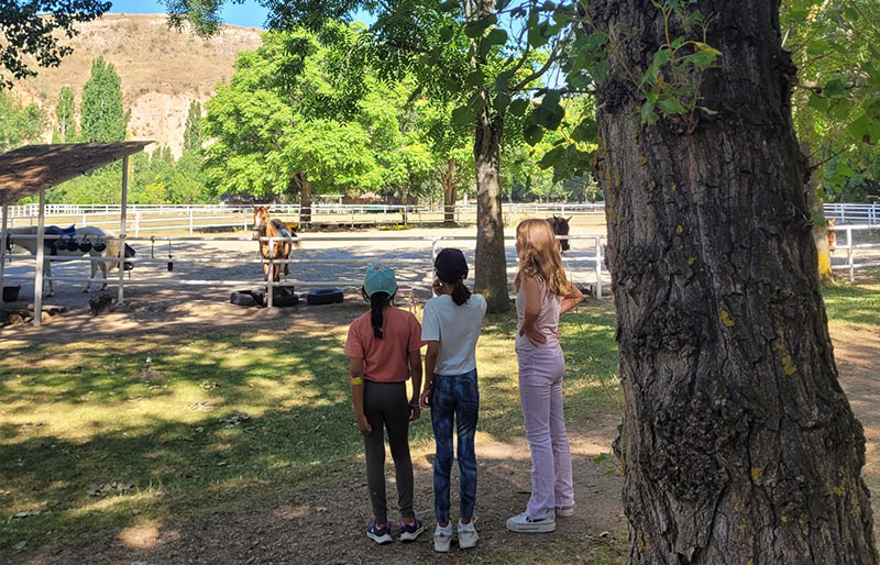 campamentos verano inglés 