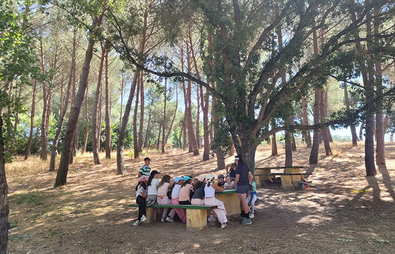 campamentos verano inglés