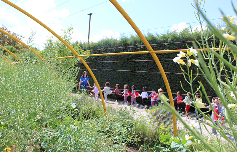 huerto-ecologico-educacion-infantil