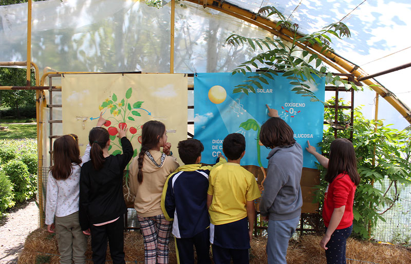 huerto-ecologico-educacion-infantil