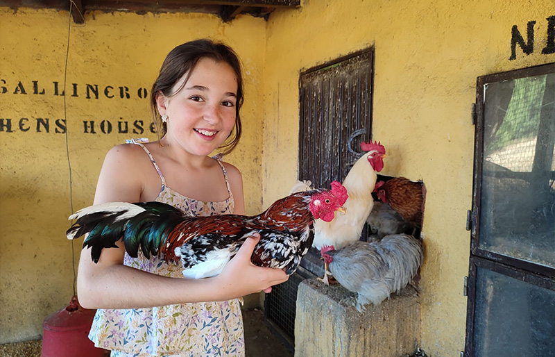 animales aliados educativos