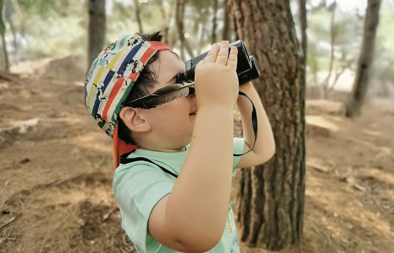 curiosidad cinetifica