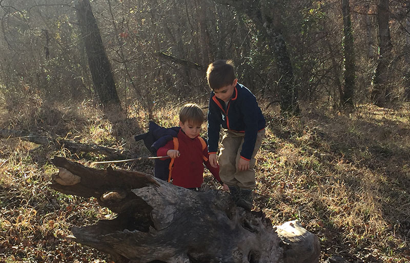 curiosidad cinetifica