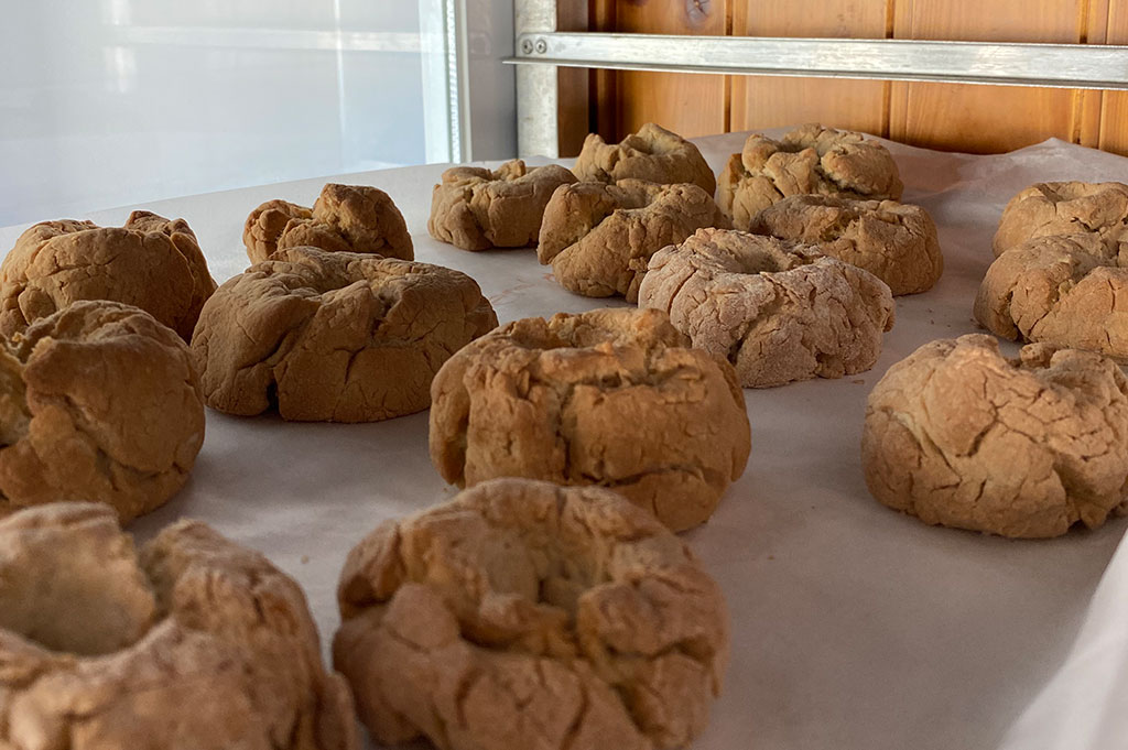 Granja escuela en madrid