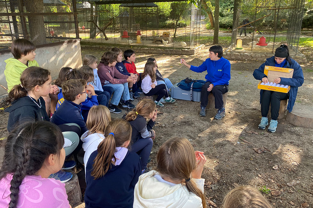 Granja escuela en madrid