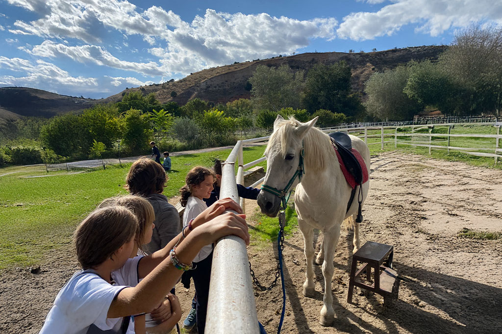 Granja escuela en madrid