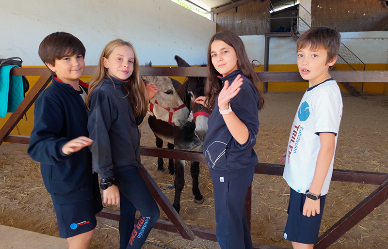 animales aliados educativos