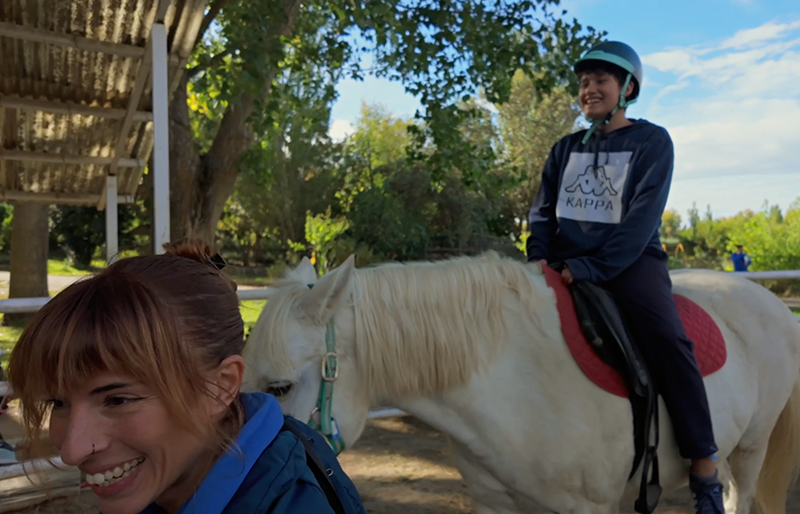 animales aliados educativos