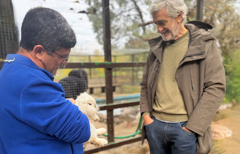 animales como aliados educativos