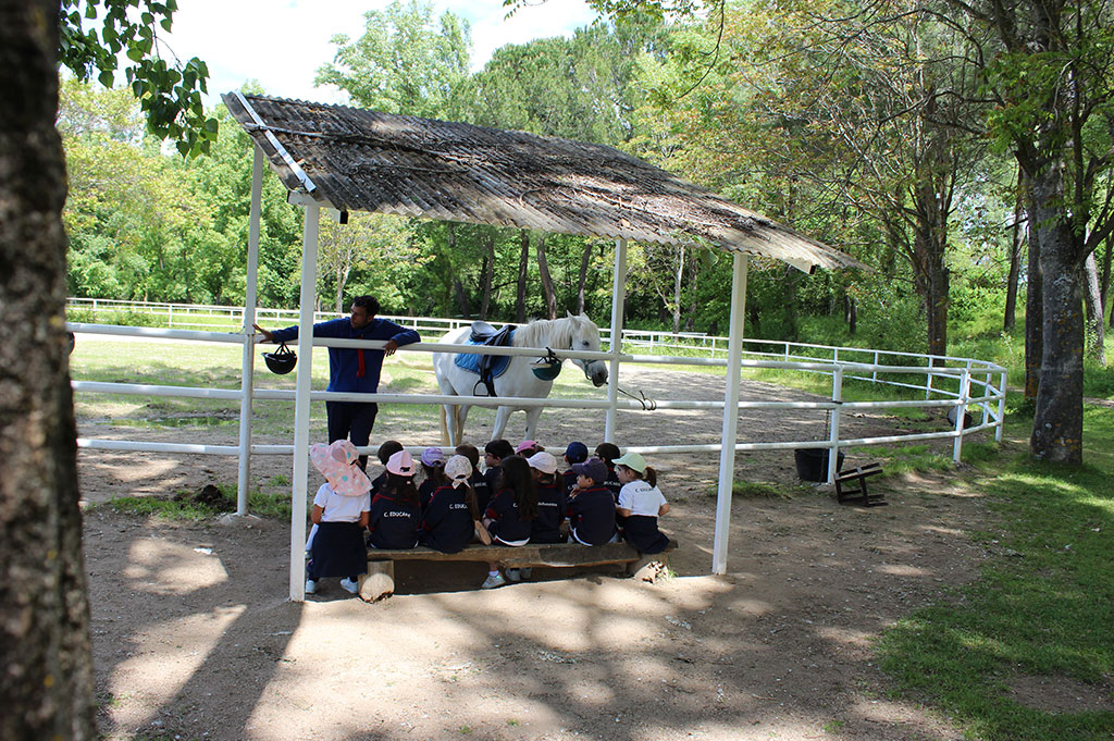 Granja escuela estancia infantil