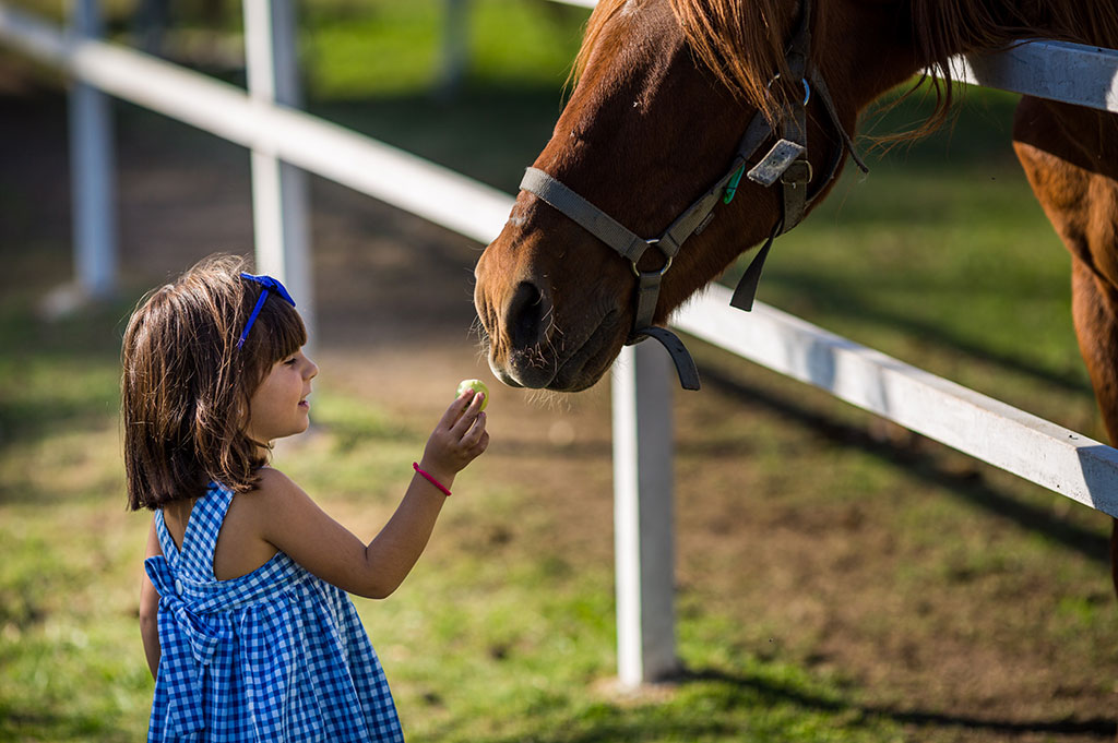 Granja-escuela-estancia-infantil