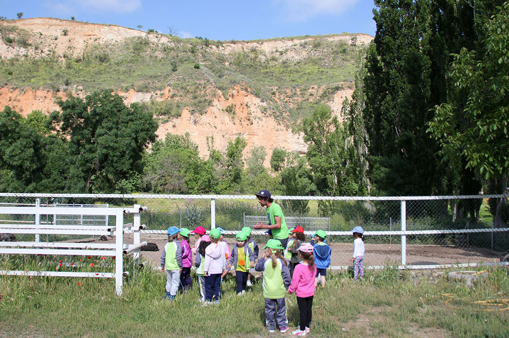 Granja escuela visita infantil