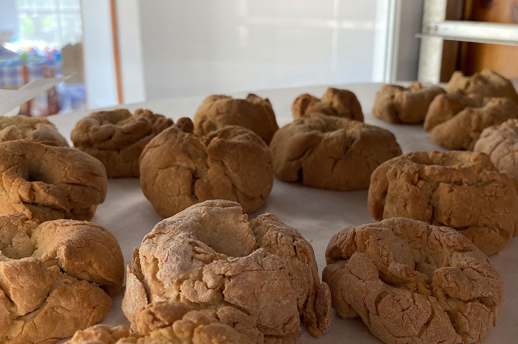 Granja-escuela-visita-infantil