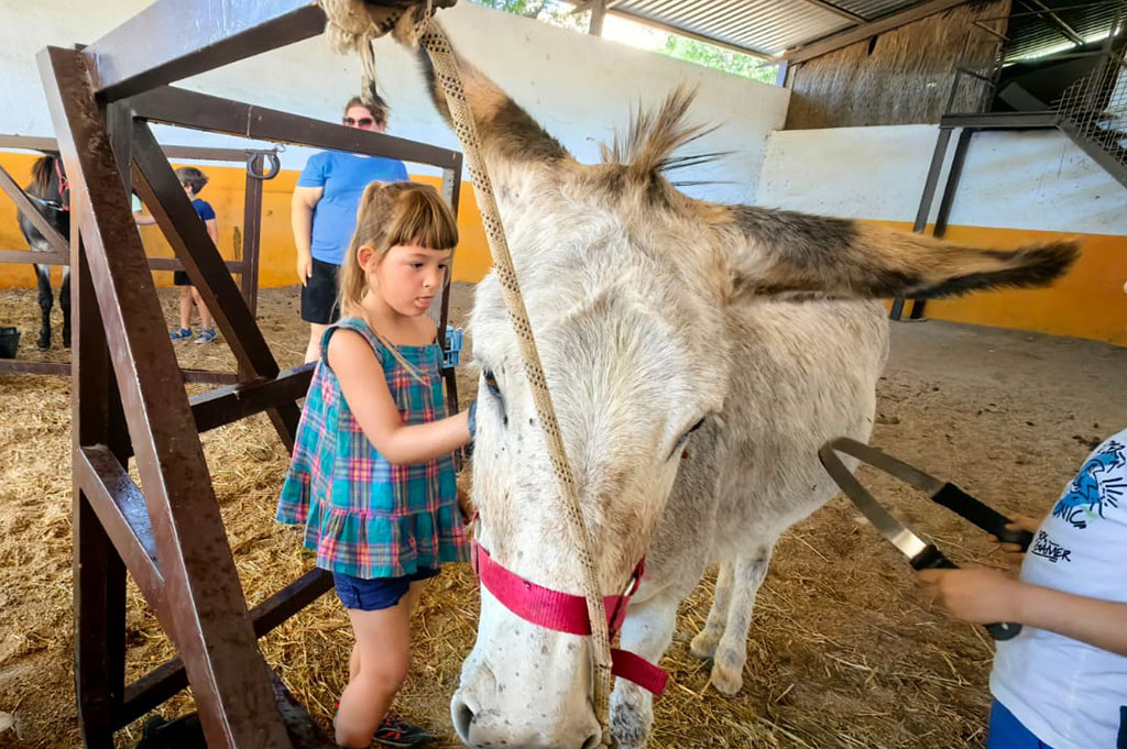 Granja-escuela-visita-infantil