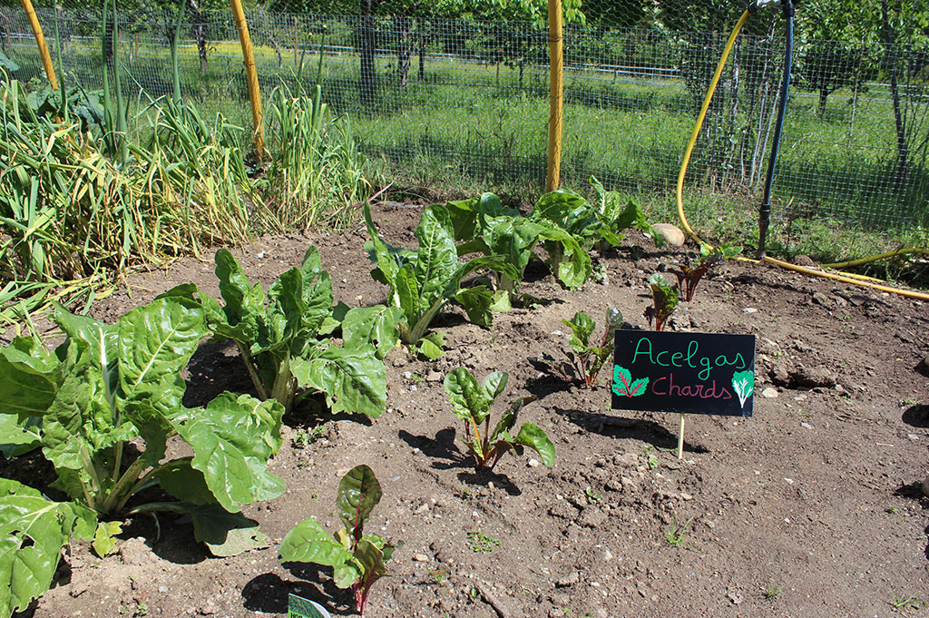 Sweet-Farm-Visita-bilingüe-infantil