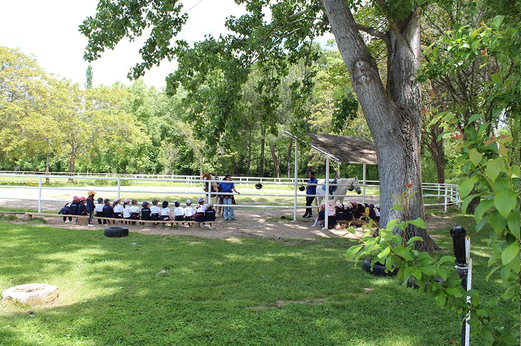 Sweet Farm Visita bilingüe infantil