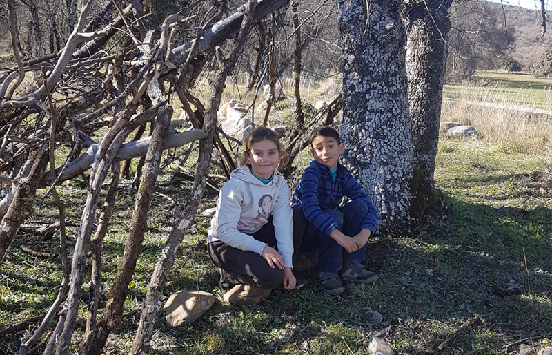 fortalecer vínculos familiares