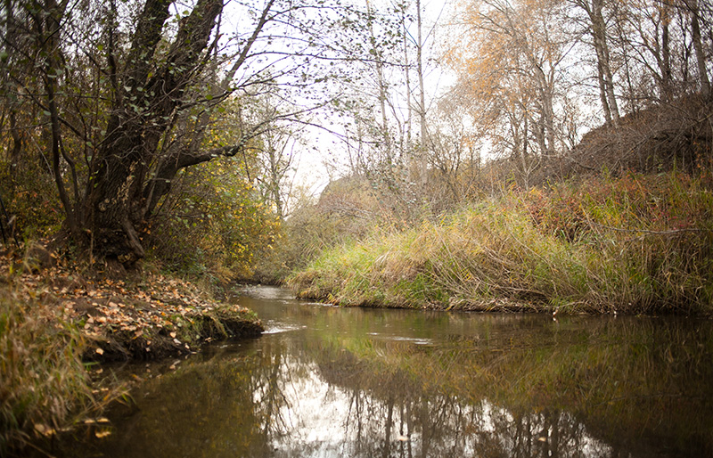 fortalecer vínculos familiares