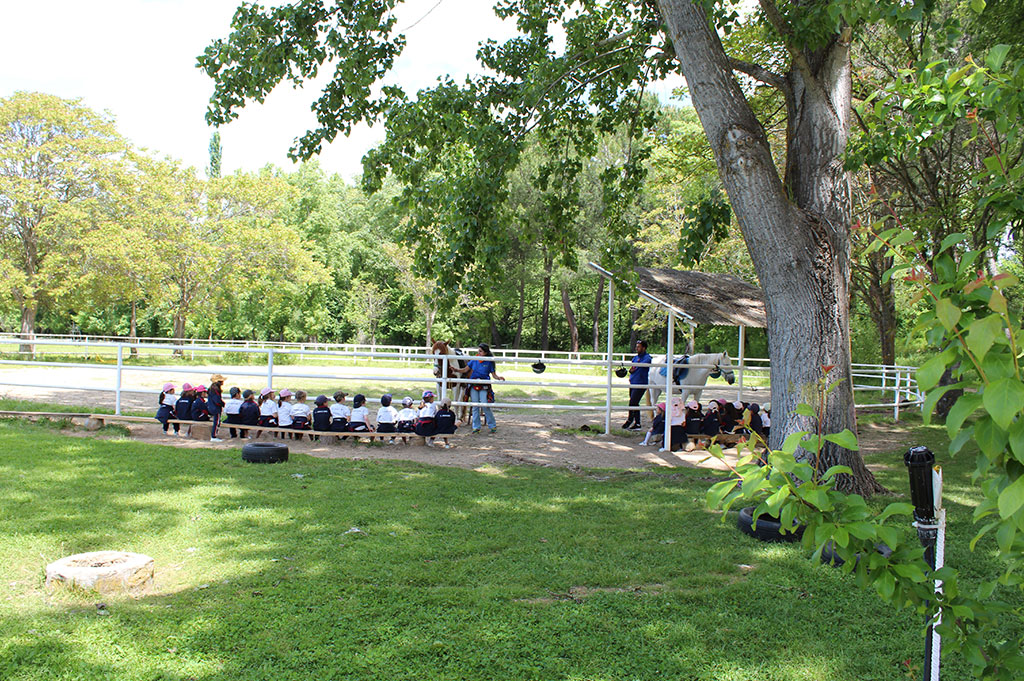 granja-escuela