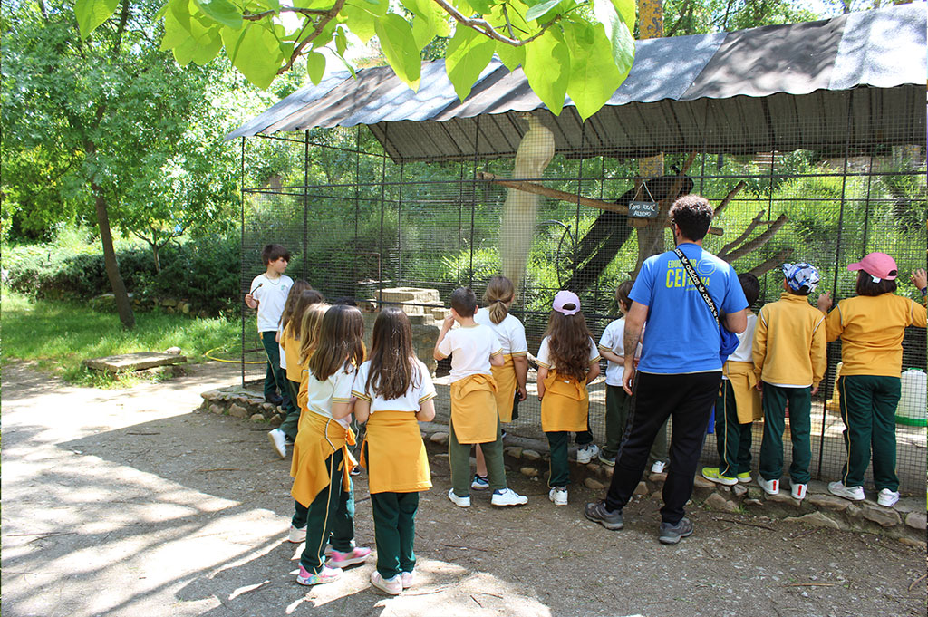 visita granja escuela primaria