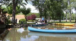 innovación educativa 2026