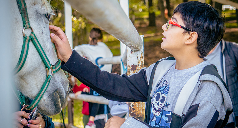 innovación educativa 2026