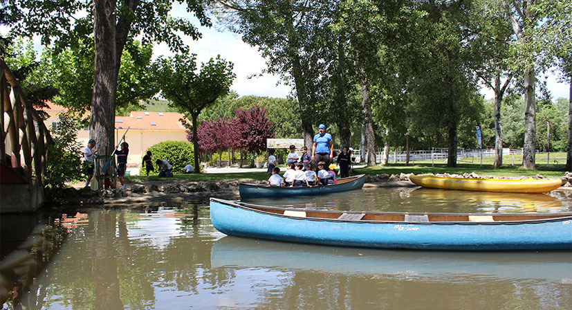 innovación educativa 2026