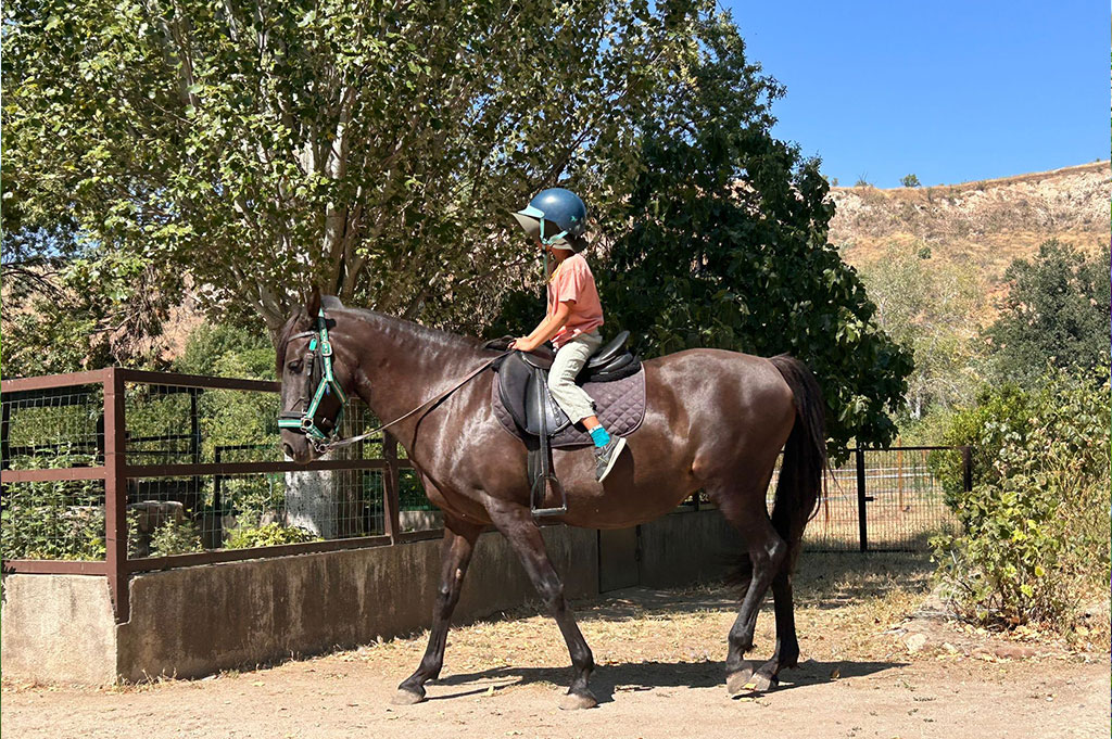visita granja escuela