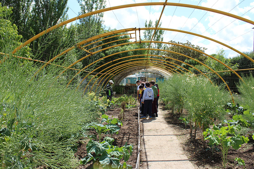 visita granja escuela