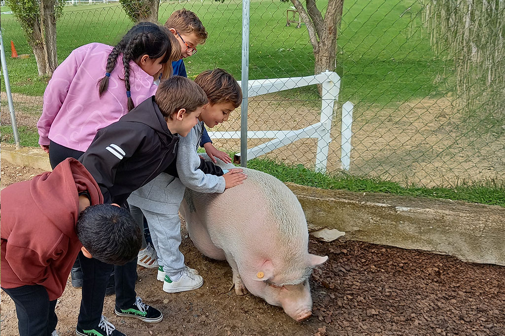 visita granja escuela primaria