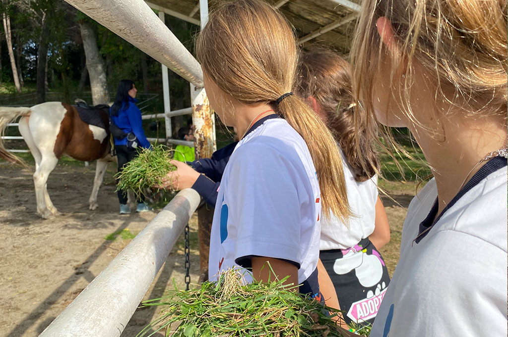 visita granja escuela primaria