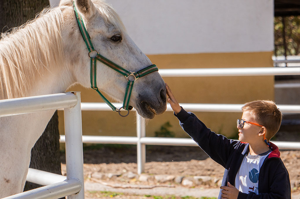 Granja escuela estancia primaria