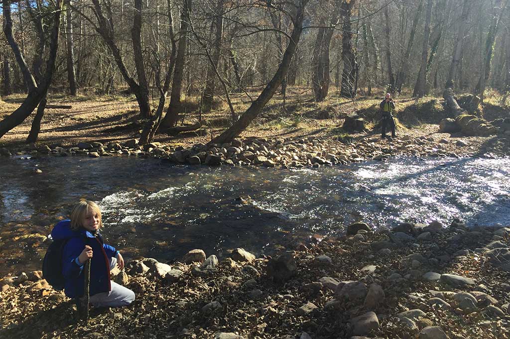 Inmersión-en-inglés-primaria