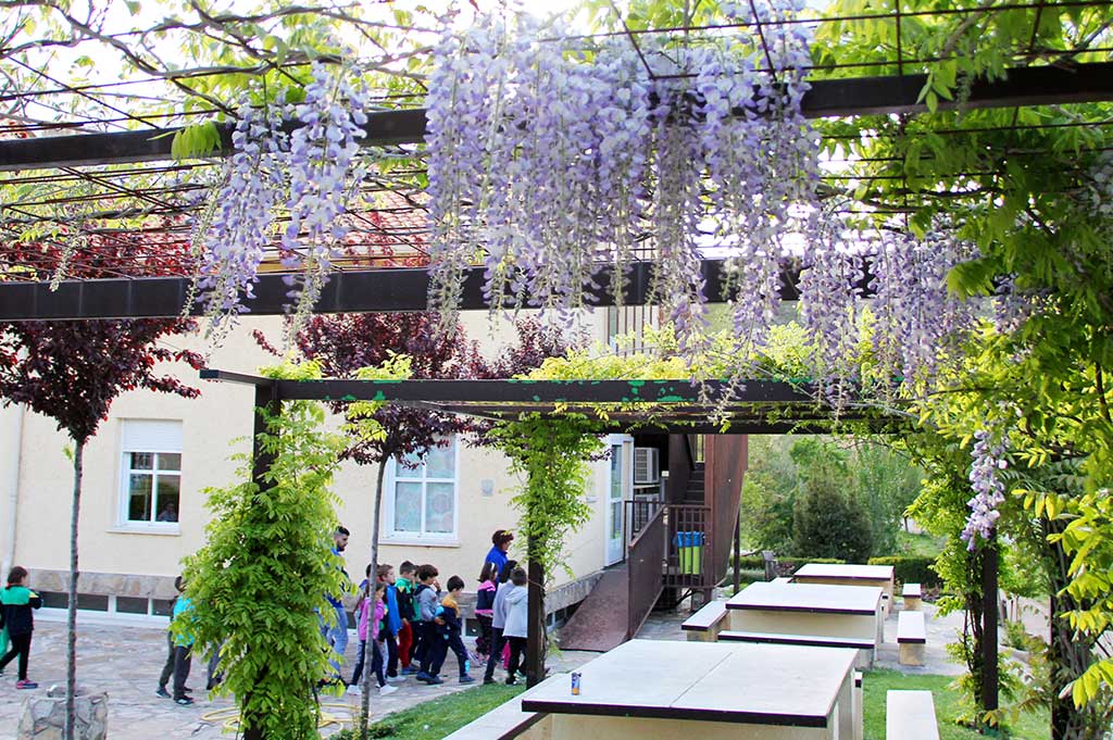 convivencias para grupos