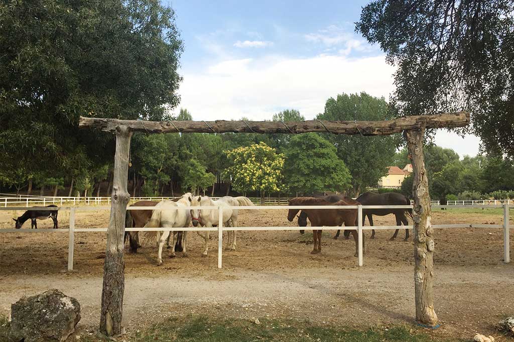 convivencias para grupos