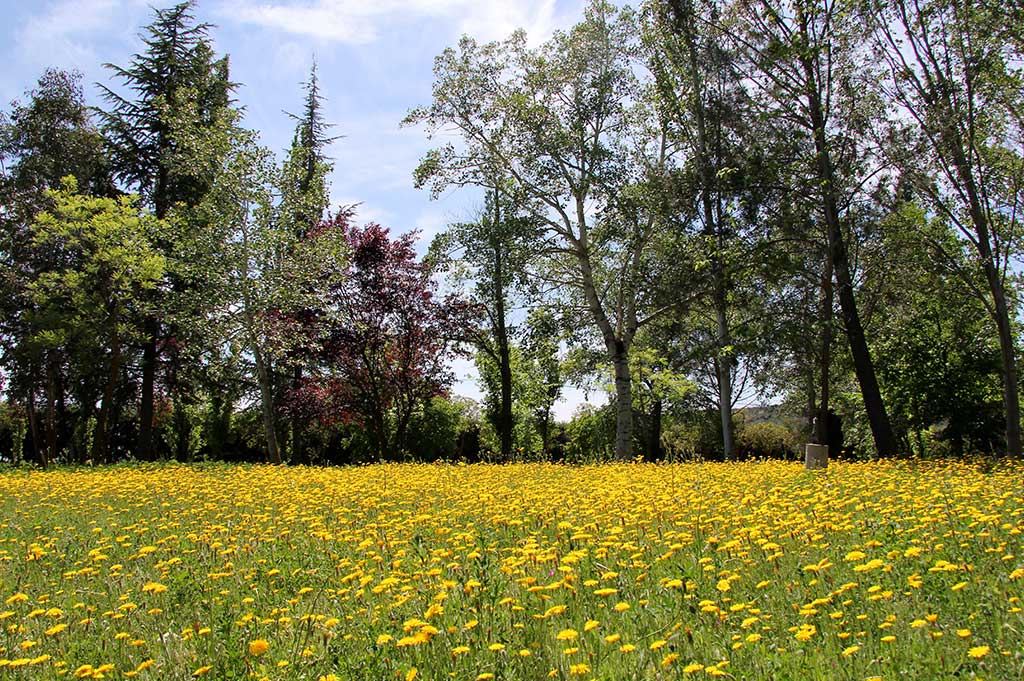 convivencias para grupos