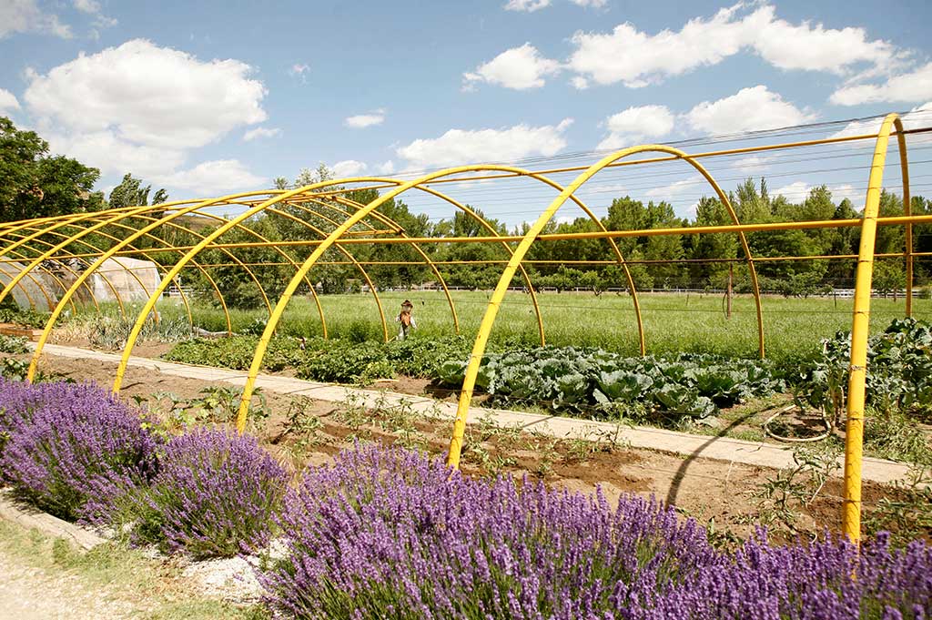 convivencias para grupos