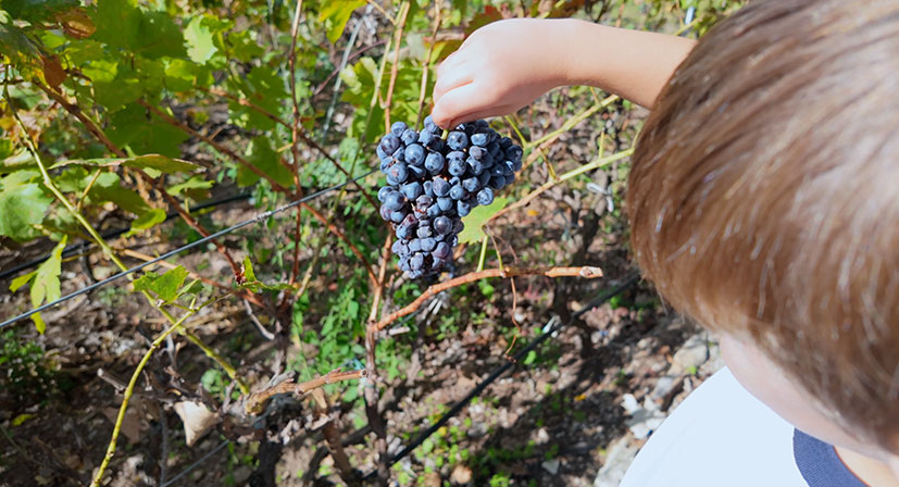 educación en la naturaleza