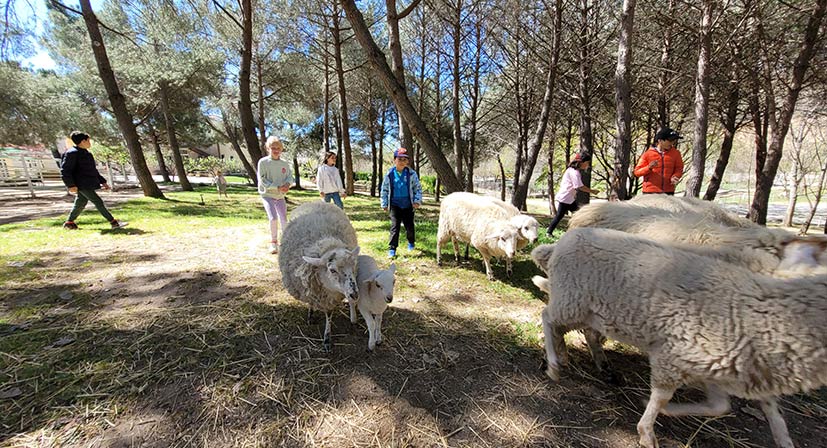 educación en la naturaleza