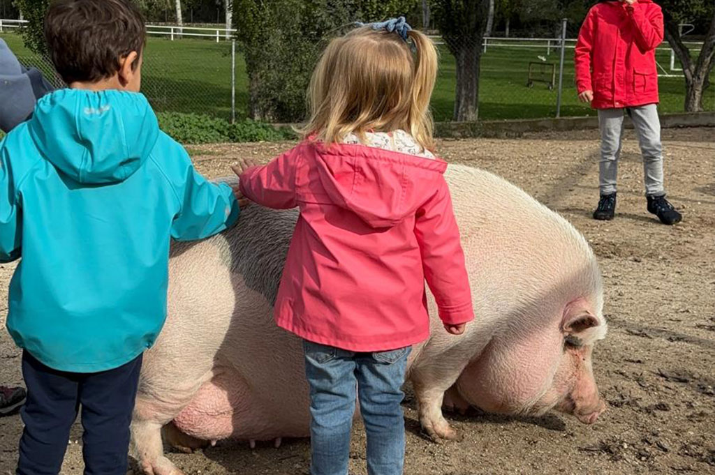 naturaleza-en-familia