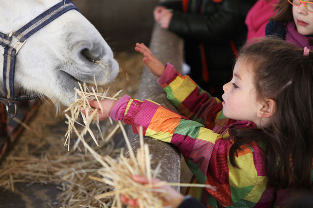 naturaleza en familia
