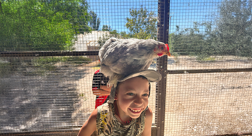 naturaleza colegios infantil