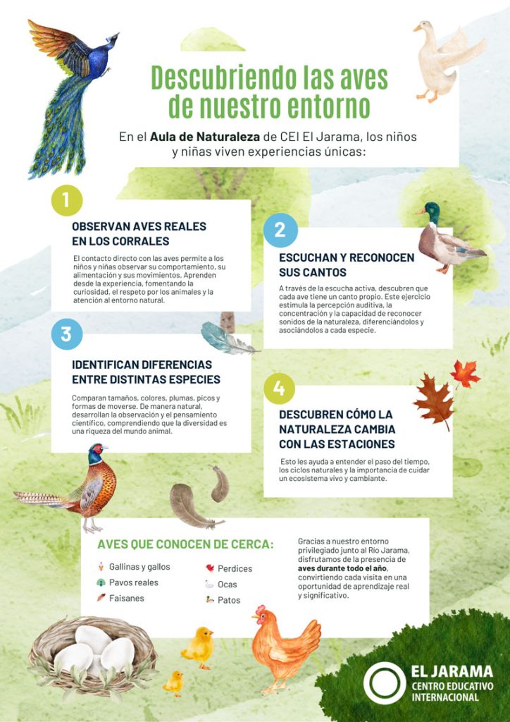 Aula de Naturaleza