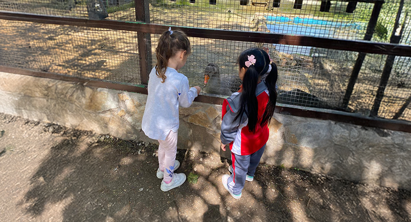 naturaleza colegios infantil