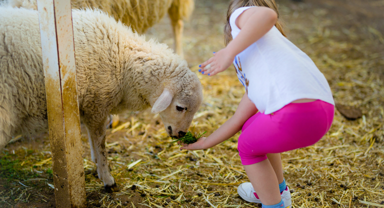 granja escuela primaria