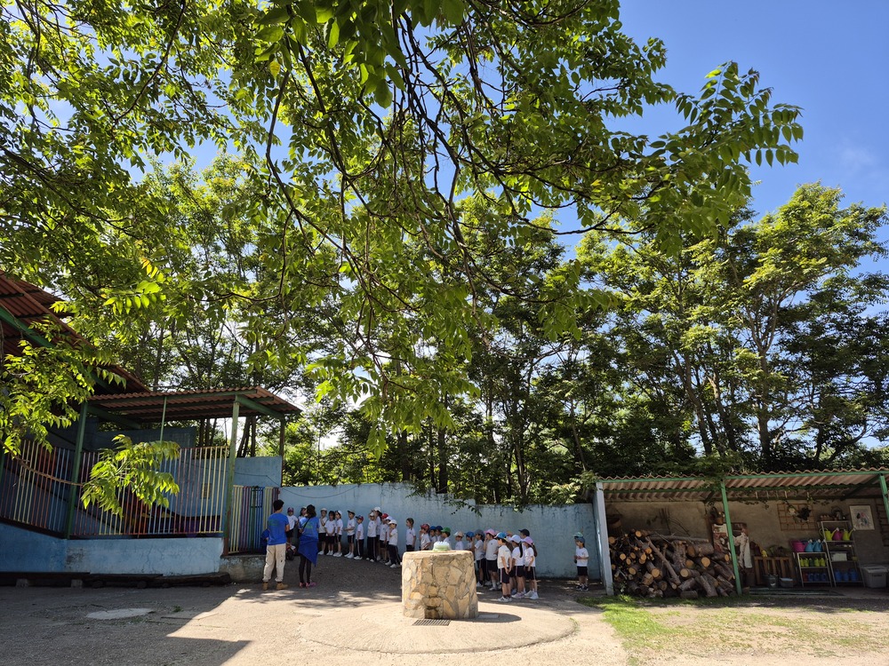 Visita escolar primaria