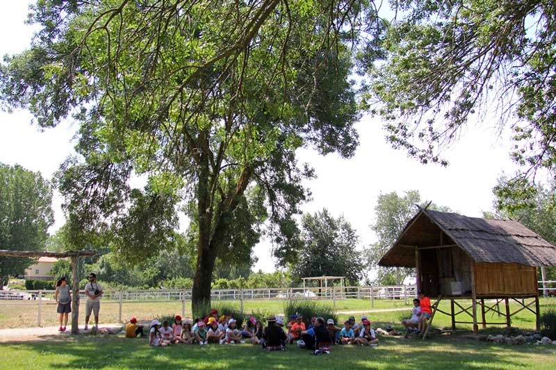 planificación actividades escolares