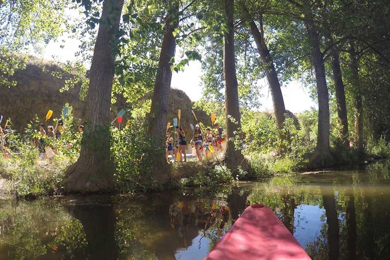 planificación actividades escolares